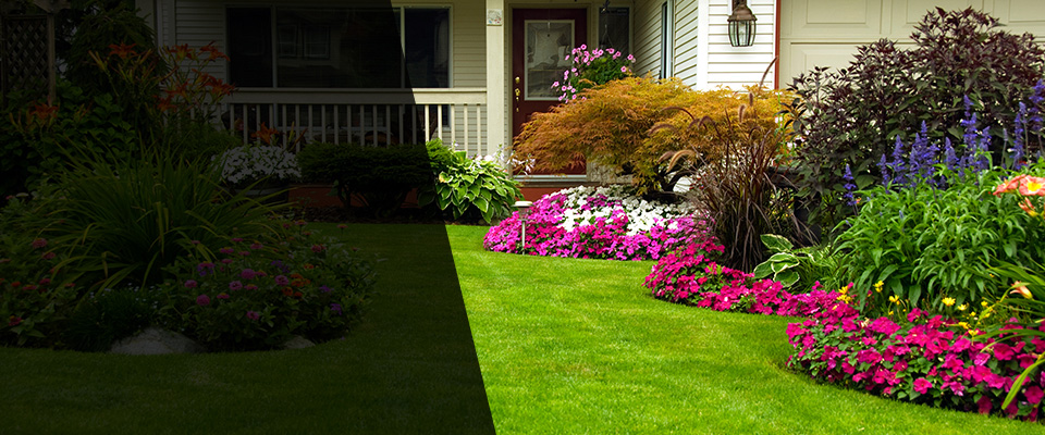Silver Lake Landscapers